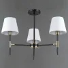 Люстра на штанге Illumico IL0185-3CSQ-24 BK AB CASTOR IL0185-3CSQ-24 BK AB CASTOR - 2