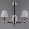 Люстра на штанге Illumico IL0394-3CSQ-24 BK AB CASTOR IL0394-3CSQ-24 BK AB CASTOR - 2