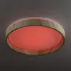 Потолочный светильник Citilux Enzo CL753352G CL753352G - 4