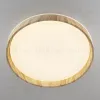 Потолочный светильник Citilux Enzo CL753452G CL753452G - 3