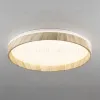 Потолочный светильник Citilux Enzo CL753452G CL753452G - 2