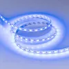 Светодиодная лента Arlight RT-B60-10mm 12V Blue (14.4 W/m, IP20, 5m) 012336(3) 012336(3) - 4