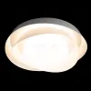 Потолочный светильник Loft IT Petale 10256 White 10256 White - 4