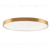 Потолочный светильник Zortes Tortty ZRS.02566.120 ZRS.02566.120 - 1