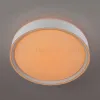 Потолочный светильник Citilux Boss CL751250G CL751250G - 9