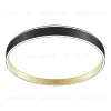 Потолочный светильник Citilux Enzo CL753451G CL753451G - 2