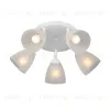 Спот Vitaluce V4355-0/5PL V4355-0/5PL - 2