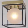 Потолочный светильник Illumico IL0050-1C-79 IL0050-1C-79 - 1
