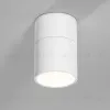 Накладной спот Elektrostandard Rolly 25112/LED 4690389207860 a067487 4690389207860 - 4