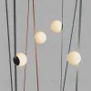 Трековый однофазный светильник Denkirs Belty Orb DK5551-BK DK5551-BK - 5