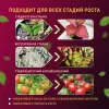 Светодиодная лента Эра FITO-Strip Light-Rа90-3m Б0059881 Б0059881 - 3