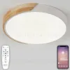 Потолочный светильник Natali Kovaltseva Scandinavian LED LAMPS 81181 LED LAMPS 81181 - 1