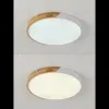 Потолочный светильник Natali Kovaltseva Scandinavian LED LAMPS 81182 LED LAMPS 81182 - 2