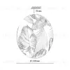 Потолочный светильник Sonex Pale Flori 7748/CL 7748/CL - 6