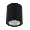 Уличный потолочный светильник Arte Lamp Torcular A1813PF-1BK A1813PF-1BK - 1