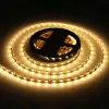 Светодиодная лента Ambrella Light Illumination 24В 5050 14,4Вт/м 3000K 5м IP20 GS4001 GS4001 - 5