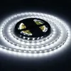 Светодиодная лента Ambrella Light Illumination 24В 5050 14,4Вт/м 6500K 5м IP20 GS4003 GS4003 - 5