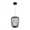 Подвесной светильник Arte Lamp Flare A3528SP-12BK A3528SP-12BK - 1