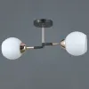 Потолочный светильник Illumico IL0689-2CSQ-24 BK FGD LIBRA IL0689-2CSQ-24 BK FGD LIBRA - 2
