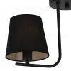 Потолочный светильник Illumico IL8134-2COU-79 BK Beti IL8134-2COU-79 BK Beti - 2
