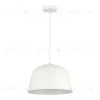Подвесной светильник Evoluce Blank SLE1805-503-01 SLE1805-503-01 - 1