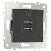 Розетка USB 2.1А+1А Arte Milano 203.46-1.black 203.46-1.black - 6