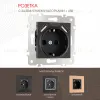 Розетка с заземлением, шторками + USB Arte Milano 203.47-1.black 203.47-1.black - 1