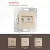 Розетка телефонная RJ11 + компьютерная RJ45 Arte Milano 203.44-1.shampan 203.44-1.shampan - 1
