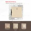 Выключатель одноклавишный с подсветкой Arte Milano 203.31-1.shampan 203.31-1.shampan - 1