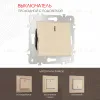 Выключатель одноклавишный проходной Arte Milano 203.33-1.shampan 203.33-1.shampan - 1