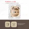 Розетка с заземлением, шторками + 2 USB Arte Milano 205.47-1.shampan 205.47-1.shampan - 1