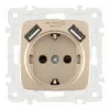 Розетка с заземлением, шторками + 2 USB Arte Milano 205.47-1.shampan 205.47-1.shampan - 4