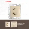 Диммер Arte Milano 206.48-1.shampan 206.48-1.shampan - 1