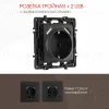 Розетка с заземлением, шторками + 2 USB Arte Milano 217.47-1.black 217.47-1.black - 1