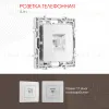 Розетка телефонная RJ11 Arte Milano 217.51-1.silver 217.51-1.silver - 1