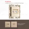 Розетка телефонная RJ11 + компьютерная RJ45 Arte Milano 217.44-1.shampan 217.44-1.shampan - 1