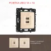 Розетка USB 2.1А+1А Arte Milano 217.46-1.shampan 217.46-1.shampan - 1