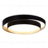 Потолочный светильник Evoluce Crosby SLE6009-402-01 SLE6009-402-01 - 1