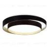 Потолочный светильник Evoluce Crosby SLE6009-402-01 SLE6009-402-01 - 4
