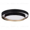 Потолочный светильник Evoluce Crosby SLE6009-402-01 SLE6009-402-01 - 2
