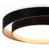 Потолочный светильник Evoluce Crosby SLE6009-402-01 SLE6009-402-01 - 5
