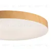 Потолочный светильник Sonex Gamma 7761/24L 7761/24L - 7