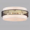 Потолочный светильник Lumion Animaisa 8002/6C 8002/6C - 2
