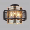 Потолочный светильник Lumion Zarina 8007/3C 8007/3C - 3