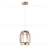 Подвесной светильник Indigo Capsula 14027/2P Gold V000154L V000154L - 3