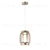 Подвесной светильник Indigo Capsula 14027/2P Gold V000154L V000154L - 1