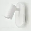 Спот Escada Omega 10222/2LED White 10222/2LED White - 2