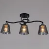 Потолочный светильник Reluce 06089-0.3-03 BK+CR 06089-0.3-03 BK+CR - 1