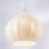 Подвесной светильник Lightstar Rocco 793116 793116 - 6