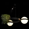 Подвесная люстра Loft IT Jardin 10121/2 10121/2 - 6